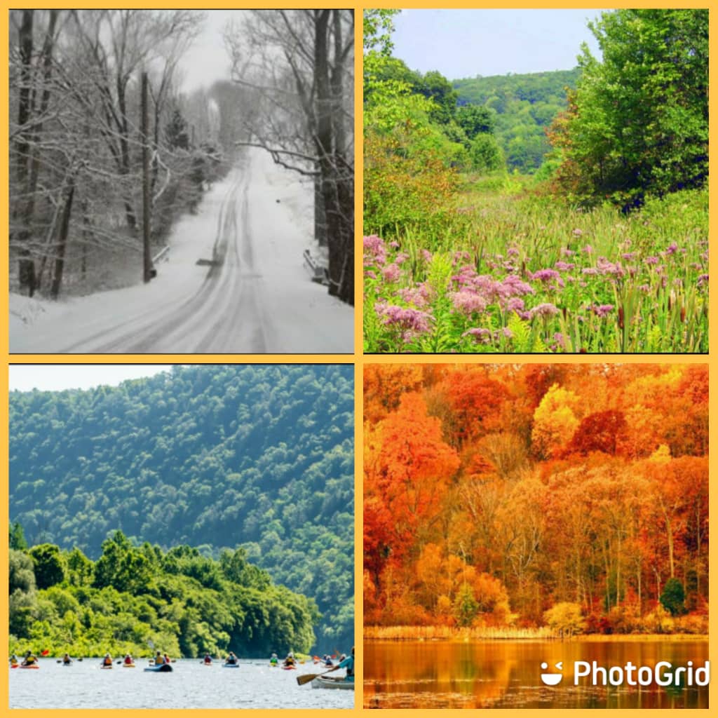 چهار فصل سال در یک تصویر در پنسیلوانیا