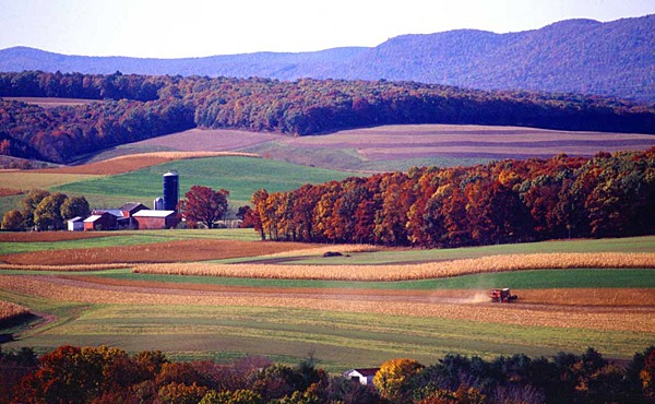 معرفی ایالت پنسیلوانیا کشاورزی در ایالت پنسیلوانیا
